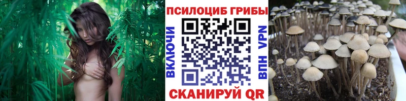 гидра зеркало  Калтан  Галлюциногенные грибы Psilocybine cubensis 